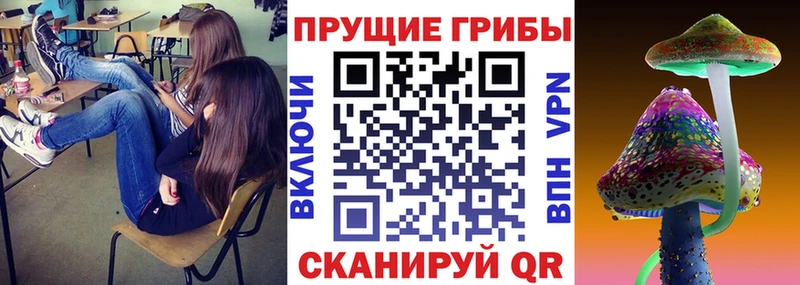 Купить закладки  Волжск  Псилоцибиновые грибы ЛСД 